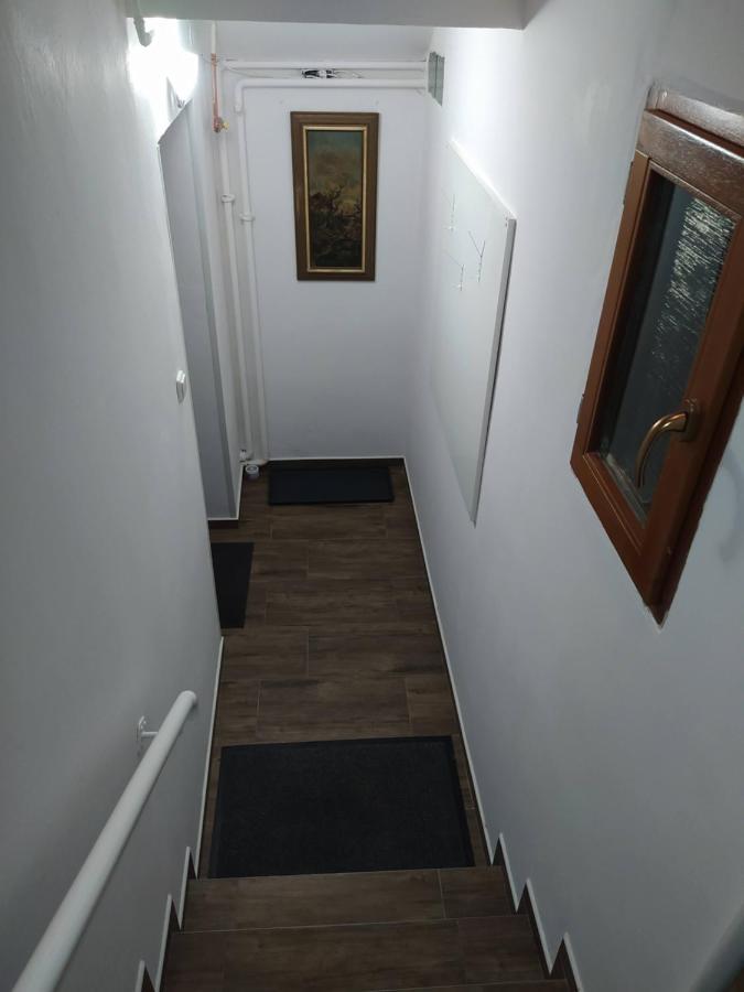 Apartment Frank